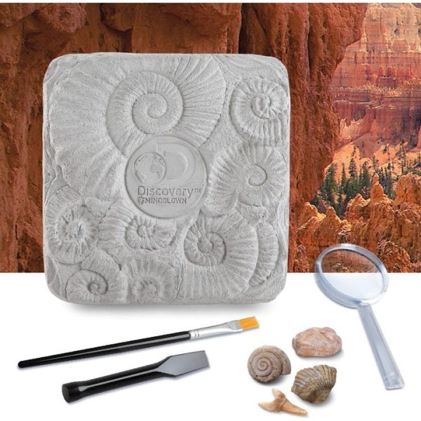 discovery-mindblown-stem-colossal-fossil-dig-set-32434812813399_720x-2 discovery-mindblown-stem-colossal-fossil-dig-set-32434812813399_720x-2