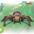 discovery-stem-remote-control-tarantula-spider-32434843091031_720x-2
