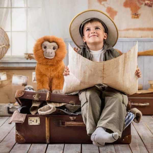 fao-schwarz-plush-12-adopt-a-wild-pal-endangered-gold-lion-tamarin-plush-31491214344279_720x-2 fao-schwarz-plush-12-adopt-a-wild-pal-endangered-gold-lion-tamarin-plush-31491214344279_720x-2