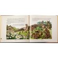 graphic-image-books-the-classic-tale-of-peter-rabbit-book-in-tan-bonded-leather-32343281991767_720x-1