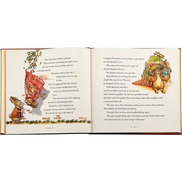 graphic-image-books-the-classic-tale-of-peter-rabbit-book-in-tan-bonded-leather-32343282548823_720x-1