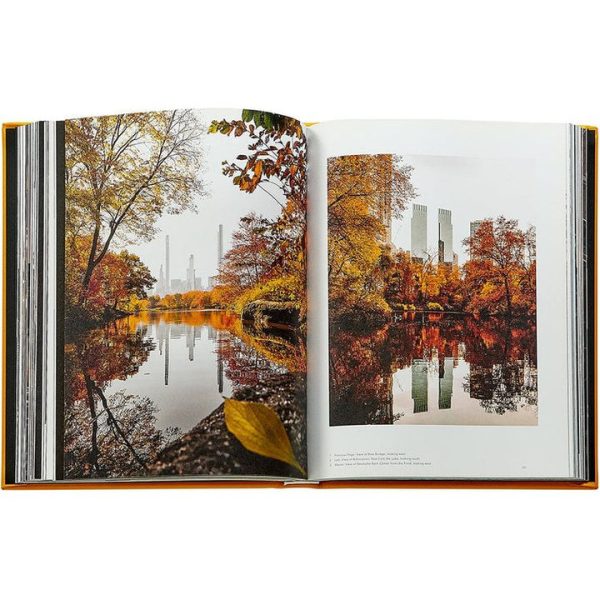 graphic-image-books-trope-new-york-book-leather-edition-1152077146_720x graphic-image-books-trope-new-york-book-leather-edition-1152077146_720x