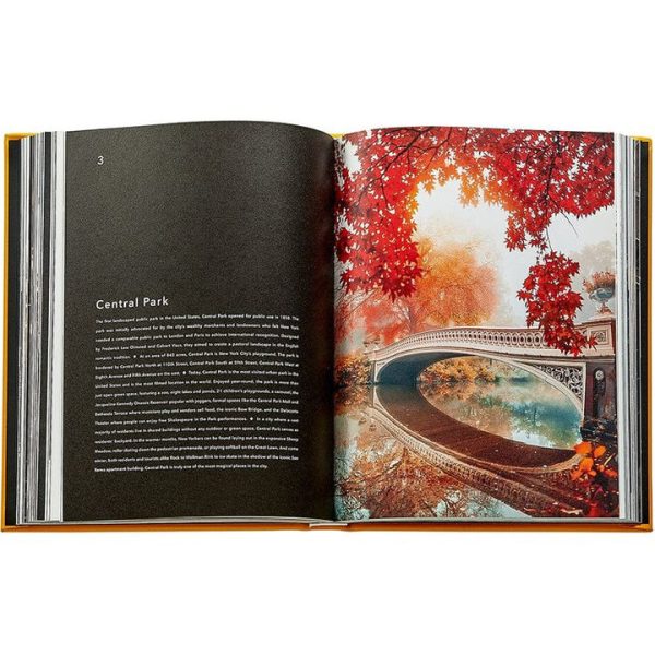 graphic-image-books-trope-new-york-book-leather-edition-1152077148_720x-4 graphic-image-books-trope-new-york-book-leather-edition-1152077148_720x-4