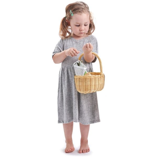 tender-leaf-toys-preschool-wicker-shopping-basket-29711571976279_720x-2 tender-leaf-toys-preschool-wicker-shopping-basket-29711571976279_720x-2